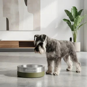 Stainless Steel Dog Bowl