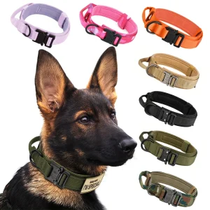 Dog Training Collar Adjustable